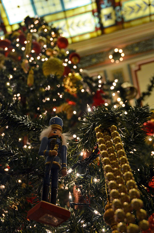 New-Year_Jefferson-tree-close-up