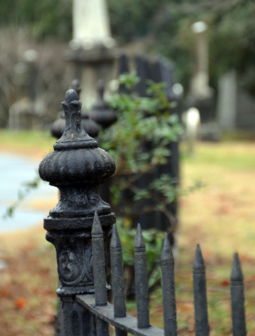 New-Year_Wrought-Iron-fence_Hollywood-Cemetery