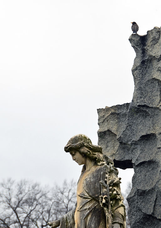New-Years_Hollywood-Cemetery-angel-with-bird