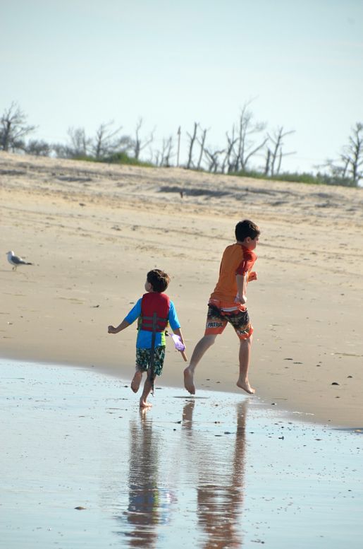 Assateague Island beach