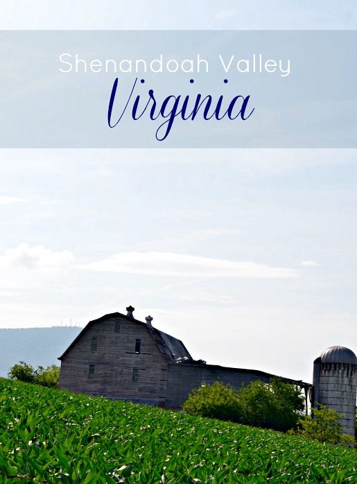 Shenandoah Valley Harrisonburg, VA